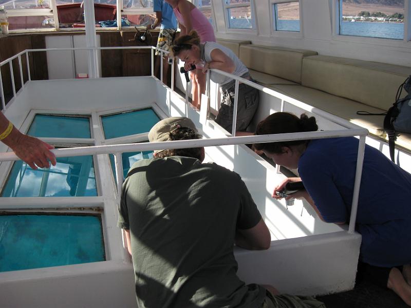 Dahab selectie 2010_01_20 15h26m.jpg - Glass Bottom Boat cruise